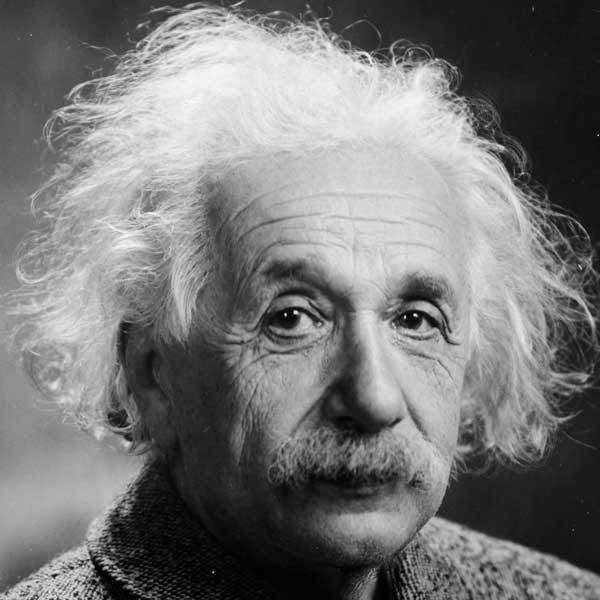 Albert Einstein in the picture quiz
